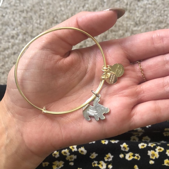 Disney’s The Lion King - Alex and Ani Bracelet - Picture 4 of 4